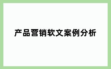 产品营销软文案例分析
