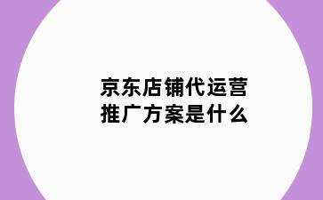 京东店铺代运营推广方案是什么