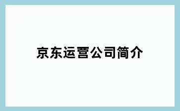 京东运营公司简介