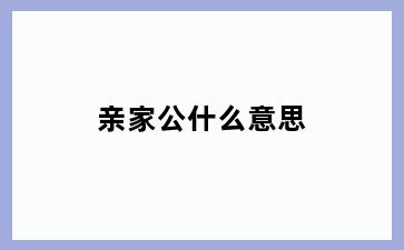 亲家公什么意思