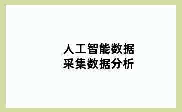 人工智能数据采集数据分析