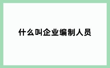 什么叫企业编制人员