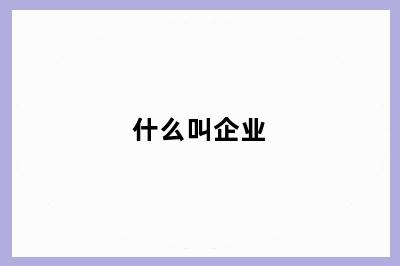 什么叫企业