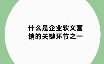 什么是企业软文营销的关键环节之一