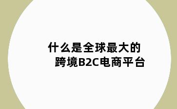 什么是全球最大的跨境B2C电商平台