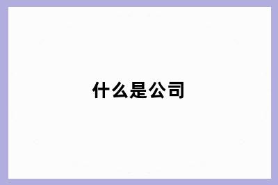 什么是公司