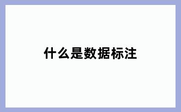 什么是数据标注