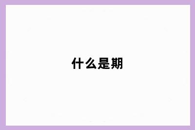 什么是期