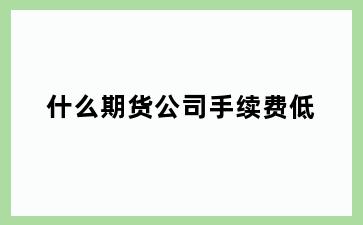 什么期货公司手续费低