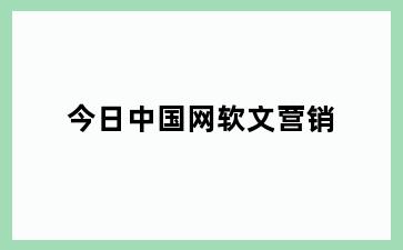 今日中国网软文营销