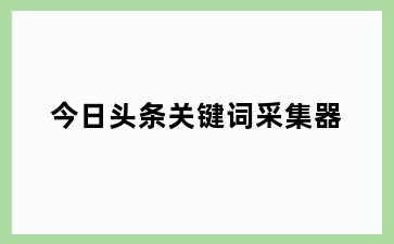 今日头条关键词采集器