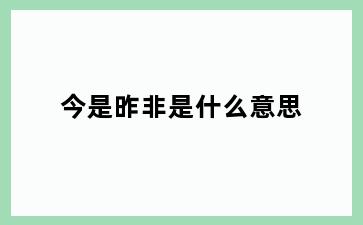 今是昨非是什么意思