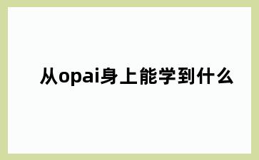 从opai身上能学到什么