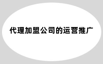 代理加盟公司的运营推广