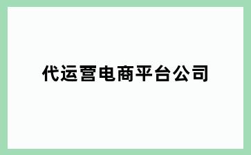 代运营电商平台公司