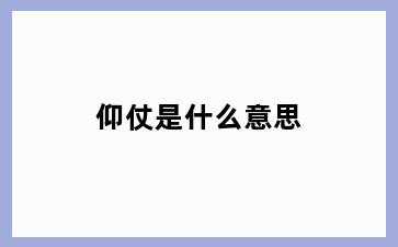 仰仗是什么意思