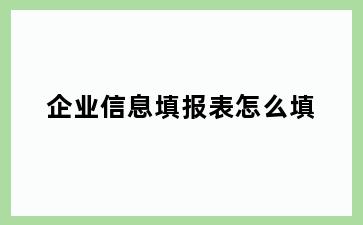 企业信息填报表怎么填