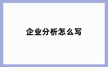 企业分析怎么写