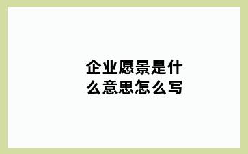 企业愿景是什么意思怎么写