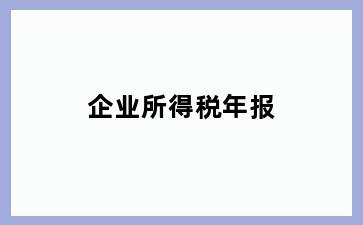 企业所得税年报