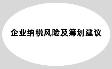 企业纳税风险及筹划建议
