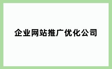 企业网站推广优化公司