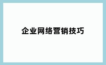 企业网络营销技巧