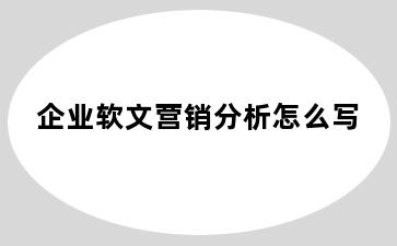 企业软文营销分析怎么写