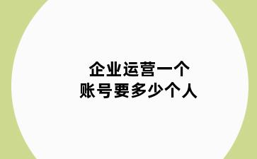 企业运营一个账号要多少个人