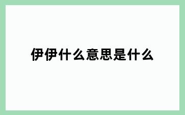 伊伊什么意思是什么