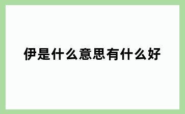 伊是什么意思有什么好