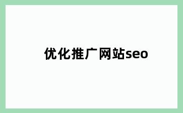 优化推广网站seo