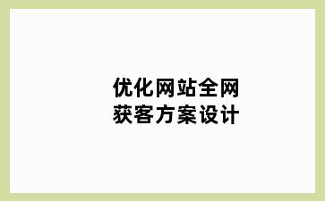 优化网站全网获客方案设计