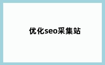 优化seo采集站