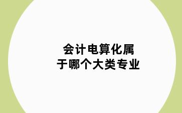 会计电算化属于哪个大类专业