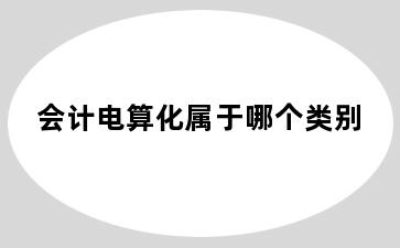 会计电算化属于哪个类别