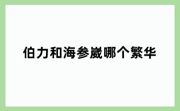 伯力和海参崴哪个繁华