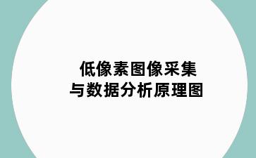 低像素图像采集与数据分析原理图