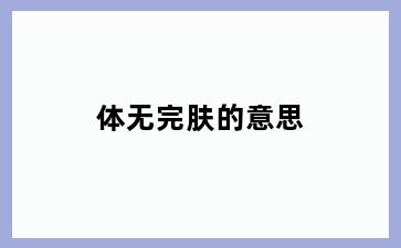 体无完肤的意思