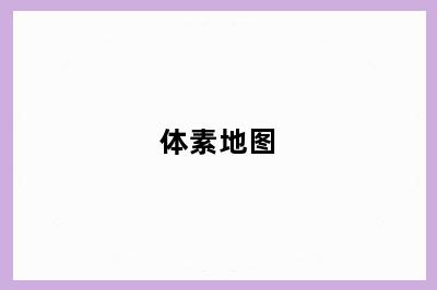 体素地图