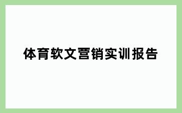 体育软文营销实训报告