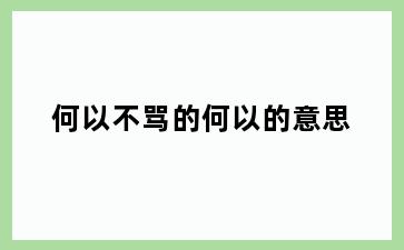何以不骂的何以的意思