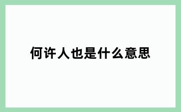 何许人也是什么意思