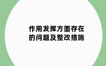 作用发挥方面存在的问题及整改措施