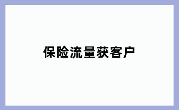 保险流量获客户
