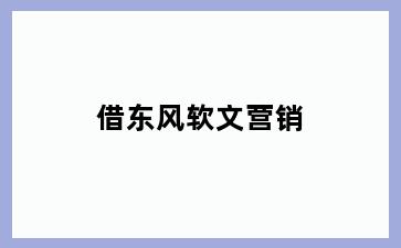 借东风软文营销