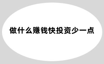 做什么赚钱快投资少一点