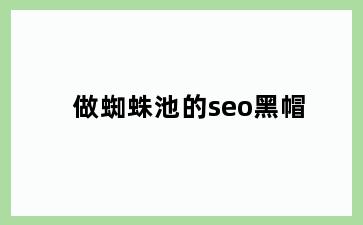 做蜘蛛池的seo黑帽