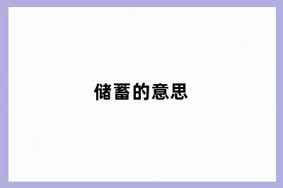 储蓄的意思