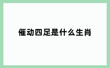 催动四足是什么生肖